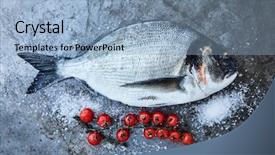  Presentation with fresh bread subway food - Cool new slide deck with royal marines - fresh gilt head bream backdrop and a light blue colored foreground