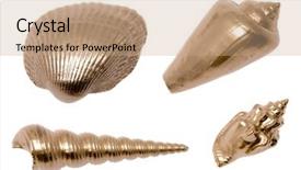  Presentation with career path for industrial automation - Presentation featuring royal marines - golden sea shells clipping path background and a  colored foreground