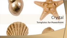  Presentation with sea shells - Presentation theme enhanced with royal marines - golden sea shells background and a  colored foreground