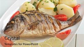  Presentation with grilled - Presentation theme having royal marines - grilled sparus aurata or gilt-head background and a  colored foreground