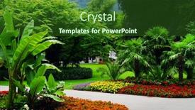  Presentation with royal - Colorful presentation design enhanced with royal-spa-garden-in-resort backdrop and a forest green colored foreground