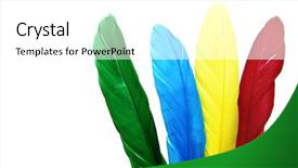  Presentation with free - Amazing theme having royalty free images - some colored feathers isolated backdrop and a white colored foreground