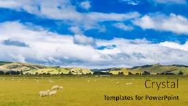  Presentation with rivers - Slide set consisting of rree-range-sheep-grazing background and a  colored foreground