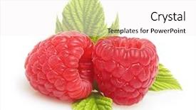  Presentation with harvest is ripe - Amazing slides having rssp - raspberry twig with ripe berry backdrop and a  colored foreground