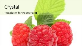  Presentation with chemistry leaves green leaf - Presentation theme featuring rssp - raspberry with green leaves background and a  colored foreground