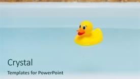  Presentation with rubber duck - Amazing PPT theme having rubber duck in blue water backdrop and a sky blue colored foreground