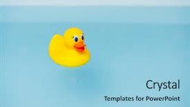  Presentation with rubber duck - Amazing PPT layouts having rubber duck in blue water backdrop and a light blue colored foreground