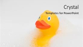  Presentation with rubber duck - Colorful PPT layouts enhanced with rubber duck in foam backdrop and a white colored foreground
