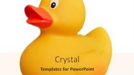  Presentation with rubber duck - Slide set enhanced with rubber-duck-toy-isolated-over background and a gold colored foreground