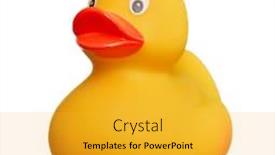  Presentation with rubber duck - Colorful presentation theme enhanced with rubber-duck-toy-isolated-over backdrop and a yellow colored foreground