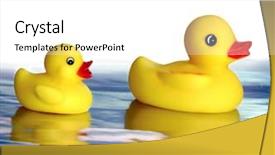  Presentation with rubber - Presentation consisting of rubber duckies floating on water background and a white colored foreground