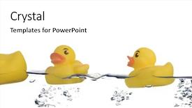  Presentation with duck - Presentation consisting of rubber ducks family background and a white colored foreground