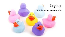  Presentation with rubber - PPT theme consisting of rubber ducks with their backs turned to one in the middle - concept of shunning or avoiding an individual focus on the yellow duckling background and a white colored foreground