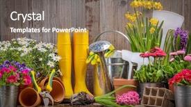  Presentation with rubber plant - Beautiful PPT layouts featuring rubber plant - gardening tools and flower backdrop and a gray colored foreground