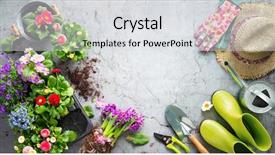  Presentation with rubber plant - Cool new theme with rubber plant - gardening tools and spring flowers backdrop and a light gray colored foreground