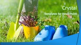  Presentation with rubber plant - Theme featuring rubber plant - gardening tools and vegetables background and a tawny brown colored foreground