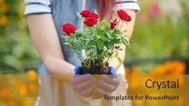 Presentation with agronomist - Theme with rubber plant - photo of agronomist woman holding background and a gold colored foreground