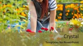  Presentation with agronomist - Cool new slides with rubber plant - photo of agronomist woman planting backdrop and a gold colored foreground