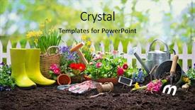  Presentation with spring - Amazing PPT theme having rubber plant - planting spring flowers backdrop and a mint green colored foreground