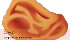  Presentation with pork rib - Slide set featuring rubber-toy-for-pets-dogs background and a  colored foreground