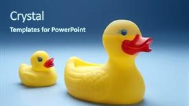  Presentation with rubber duck - PPT theme enhanced with rubber yellow duck isolated on coloured background background and a ocean colored foreground
