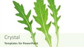  Presentation with fresh water splash green apple isolated white - Colorful presentation design enhanced with ruccola-isolated-on-white-background backdrop and a soft green colored foreground