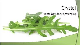  Presentation with leaves - Theme consisting of rucola-arugula-salad-leaves background and a white colored foreground