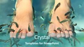  Presentation with skin doctor - Cool new presentation design with rufa garra also called doctor backdrop and a ocean colored foreground