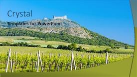  Presentation with vineyards - PPT theme featuring devine - ruins of devicky castle background and a cyan colored foreground