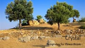  Presentation with olive trees - Slides enhanced with ruins of sanctuary of poseidon background and a gold colored foreground