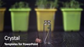  Presentation with plant biotechnology - Slide deck with rukkola plant in a test background and a dark gray colored foreground