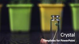  Presentation with clone - Colorful PPT theme enhanced with rukkola plant in a test backdrop and a wine colored foreground