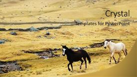  Presentation with main air routes in south america - Slides enhanced with running horses in cordiliera huayhuash background and a  colored foreground