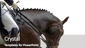  Presentation with prize - PPT theme featuring running prize - dressage horse in action background and a wine colored foreground