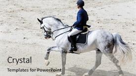  Presentation with rider - Beautiful PPT theme featuring running prize - rider on grey horse backdrop and a light gray colored foreground