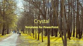  Presentation with path - Presentation design with running-round-the-path background and a tawny brown colored foreground