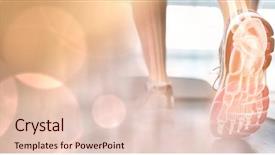  Presentation with foot muscles - Slide set with foot muscles - digital composite of feet background and a lemonade colored foreground