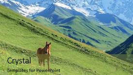  Presentation with horse - Colorful slide deck enhanced with rura - brown horse in high mountains backdrop and a  colored foreground