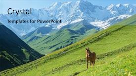 Presentation with horse - PPT theme consisting of rura - brown horse in high mountains background and a light blue colored foreground