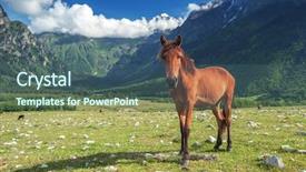  Presentation with horse - Amazing PPT theme having rura - brown horse in high mountains backdrop and a  colored foreground