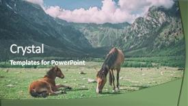  Presentation with law race horse - Cool new presentation theme with rura - brown horse in high mountains backdrop and a ocean colored foreground