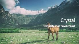  Presentation with horse - Cool new PPT theme with rura - brown horse in high mountains backdrop and a ocean colored foreground