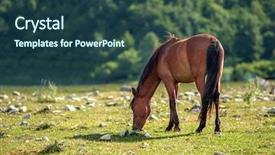  Presentation with horse sillouette - Cool new PPT theme with rura - three horse in high mountains backdrop and a  colored foreground