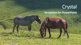  Presentation with high science 3d rendering - Beautiful slide deck featuring rura - two horse in high mountains backdrop and a ocean colored foreground