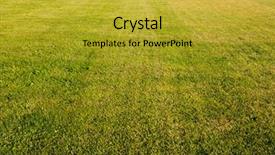  Presentation with rustic wedding green gold - Cool new presentation design with rural airport - green cutted grass background backdrop and a gold colored foreground