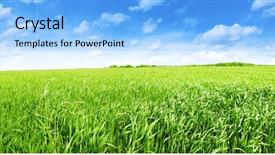  Presentation with blue green - Theme consisting of avocado salad with tuna on cutting board isolated on a white background background and a lemonade colored foreground