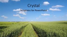  Presentation with corn field circles - Slides having rural area - field of ripening winter wheat background and a  colored foreground