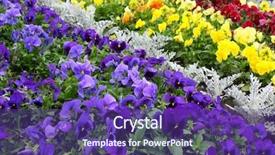  Presentation with pastel color spring - PPT theme having rural community - color flower spring nature park background and a  colored foreground