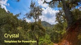  Presentation with oak forest - Beautiful slides featuring rural community climate - cork oak in espadan sierra backdrop and a tawny brown colored foreground