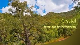  Presentation with oak forest - Slides having rural community climate - cork oak in espadan sierra background and a tawny brown colored foreground
